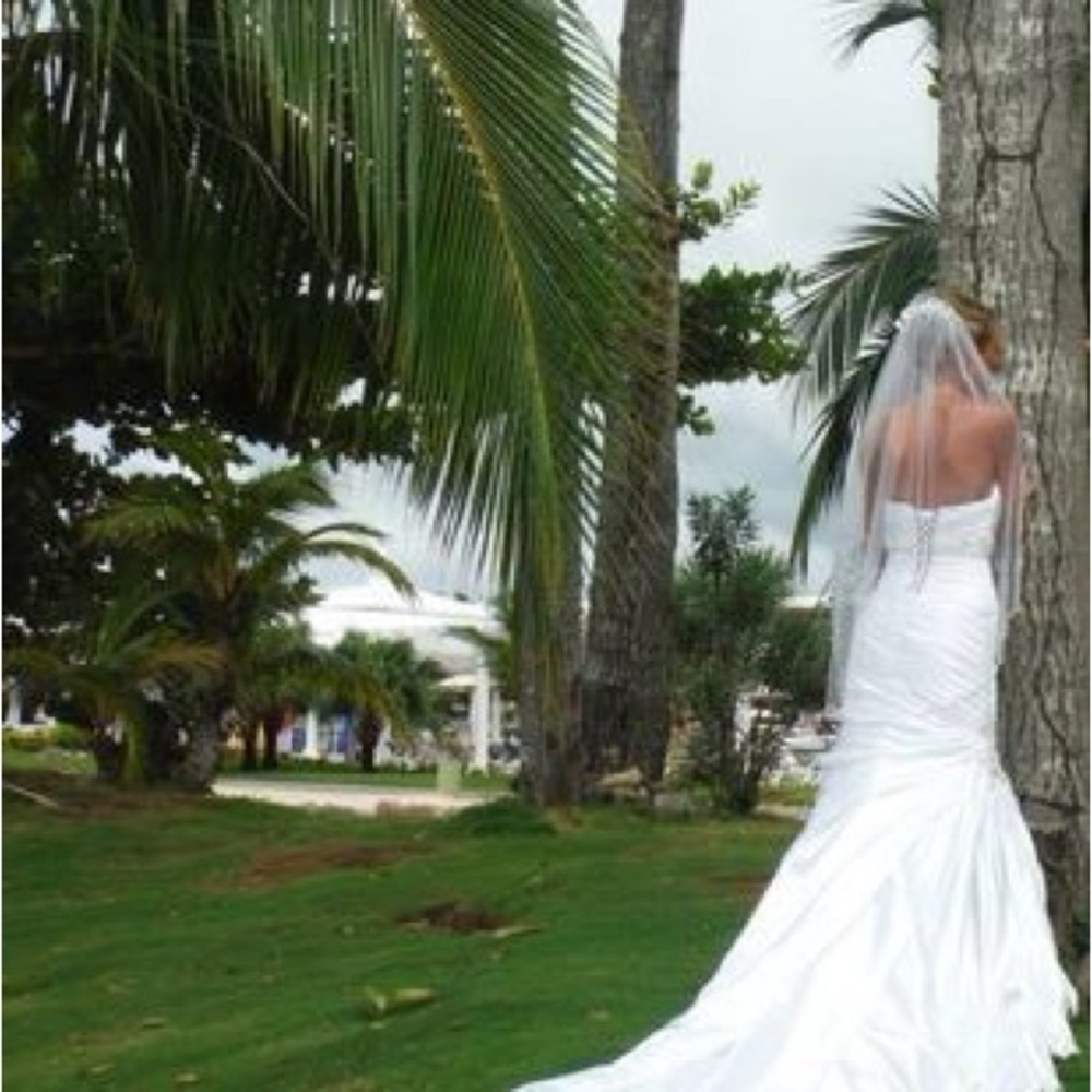 White Rhapsody Wedding Gown - Picture 2 of 4